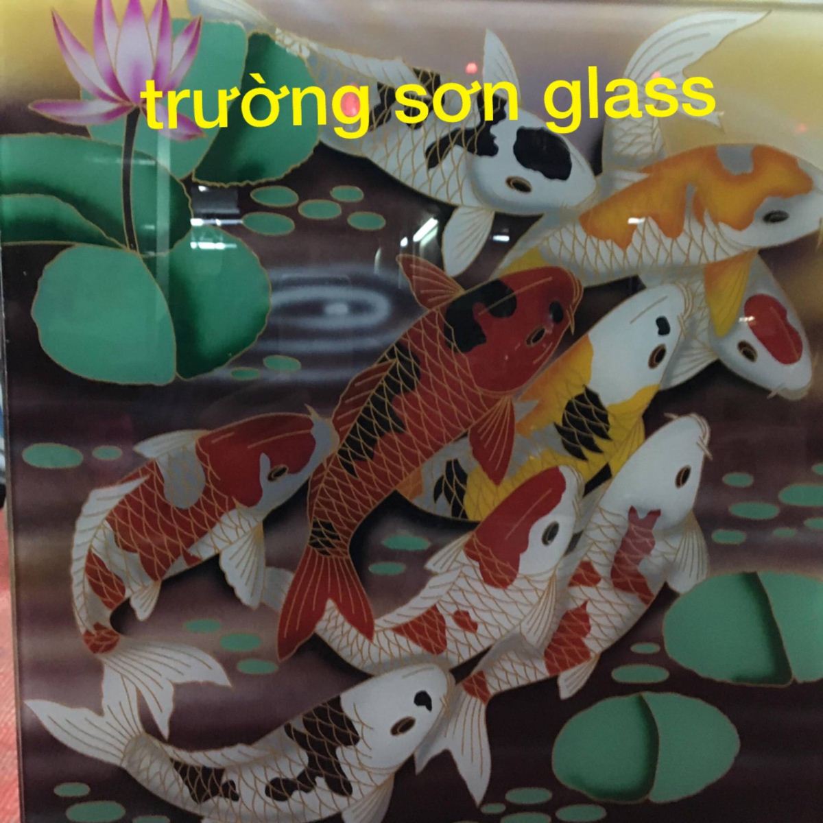 Cá Coi nhật
